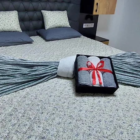 Berta - 302 Luxury - Free Private Secured Parking Апартаменты Тузла